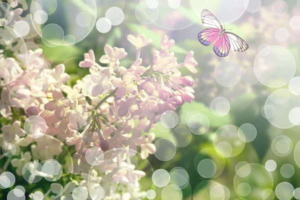 Butterfly flying among lilac flowers on beautiful bokeh background, with color filter — Stock Photo, Image