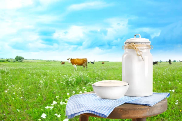 Dairy products and cows on the meadow