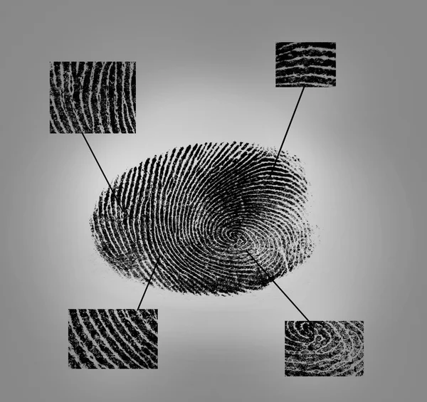 Fingerprint on gray background. Individuality concept. — Stock Photo, Image