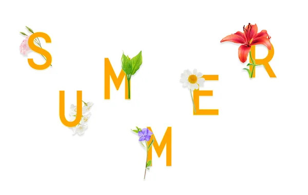 Text v létě s různými krásné květy — Stock fotografie