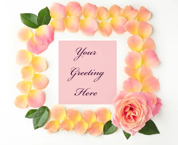 Rose petals with text on white background — Stock Photo, Image