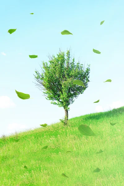 美しい木と草原に飛ぶ緑の葉 — ストック写真