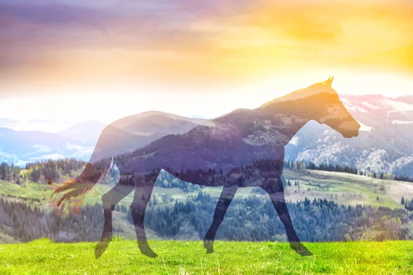 double exposure of horse with landscape view at sunny day