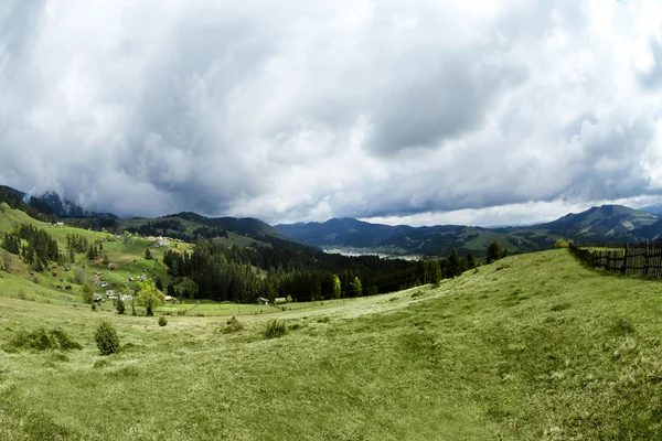 Леса зеленые холмы в горах — стоковое фото