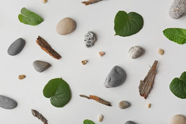 Espalhamento de folhas, seixos e pedaços de casca no fundo branco — Fotografia de Stock