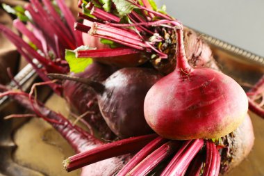 Tepsi, closeup taze genç pancar