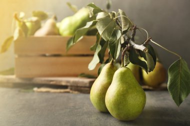 Gri masa portre üzerinde taze armut