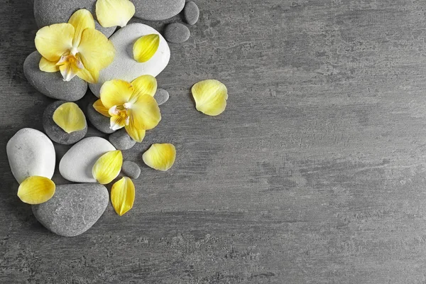 Spa stones with orchid flowers — Stock Photo, Image