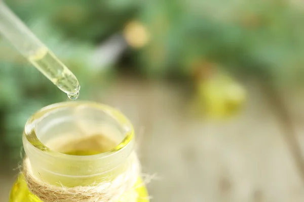 Glas dropper och flaska barrträd eterisk olja, på nära håll se — Stockfoto
