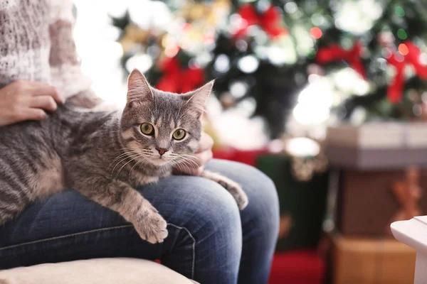 Donna seduta sul divano con gatto tabby grigio in ginocchio, vista da vicino — Foto Stock