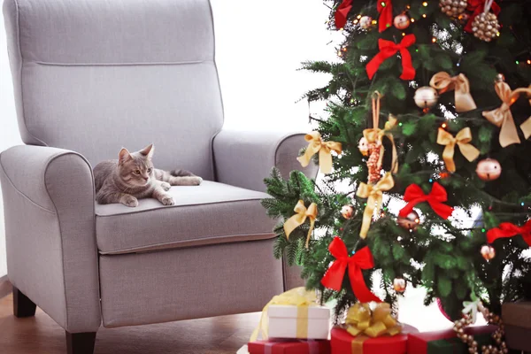 Kat liggend in fauteuil in de buurt van mooie kerstboom — Stockfoto