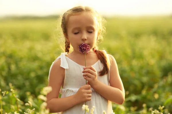 フィールドの花で幸せな少女 — ストック写真