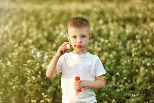 Маленький хлопчик з бульбашками в полі — стокове фото