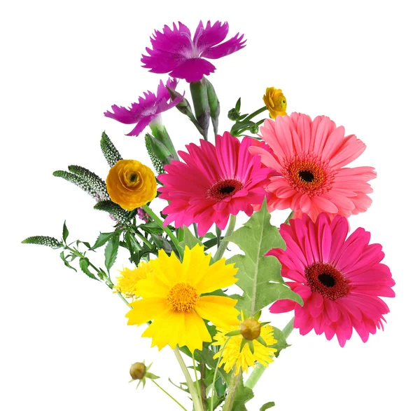 Botao De Ouro Persa Fotografias Botao De Ouro Persa Imagens Royalty Free Depositphotos