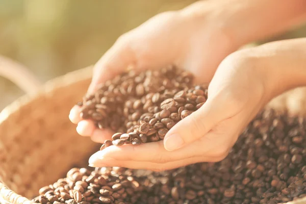 Granos de café tostados — Foto de Stock