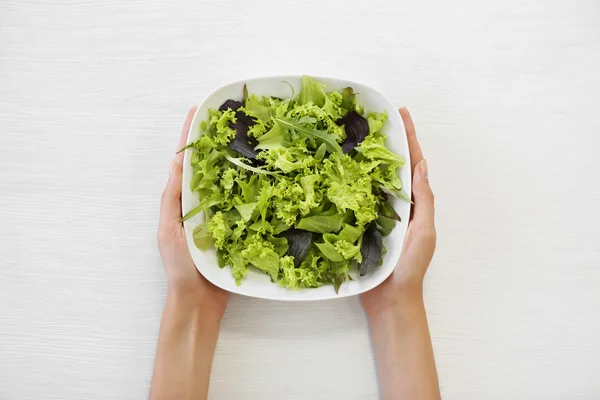 Kase üzerinde beyaz izole karışık salata yaprakları ile tutan eller — Stok fotoğraf
