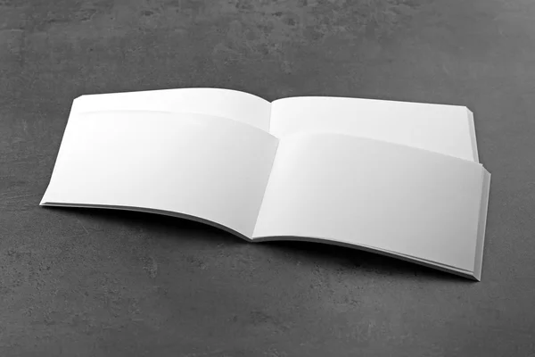 Brochuras em branco abertas — Fotografia de Stock