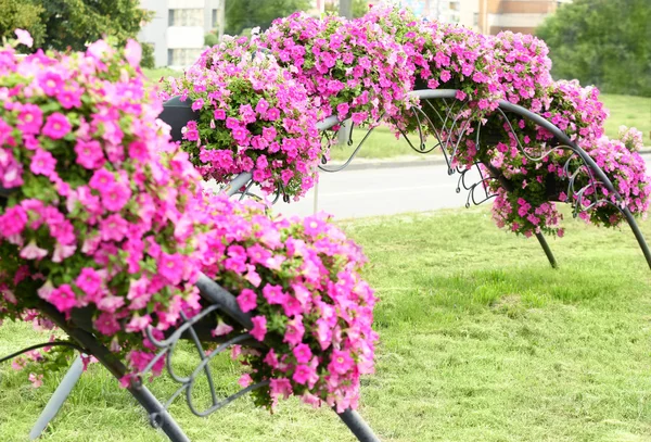 Hermosos arcos hechos de macizos de flores — Foto de Stock