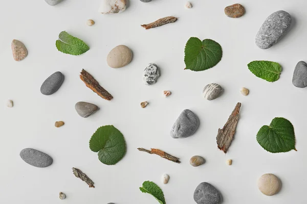 Scattering of leaves, pebbles and pieces of bark on white background — Stock Photo, Image