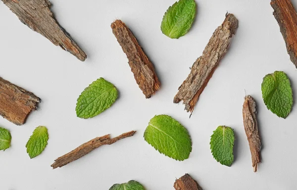 Verstrooiing van groene bladeren en stukjes schors op witte achtergrond — Stockfoto