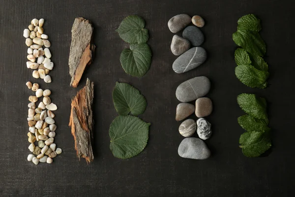 Composition of pebbles, green leaves and bark on dark background — Stock Photo, Image