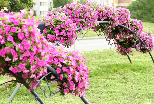 Beautiful arches made of flowerbeds — Stock Image Beautiful arches made of flowerbeds Stock Picture