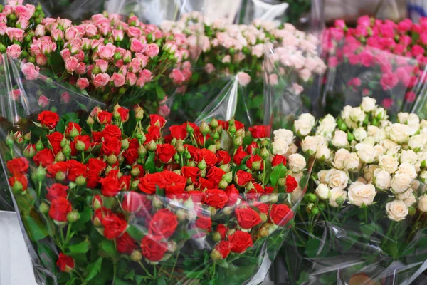 Flores frescas em exposição ao ar livre — Fotografia de Stock