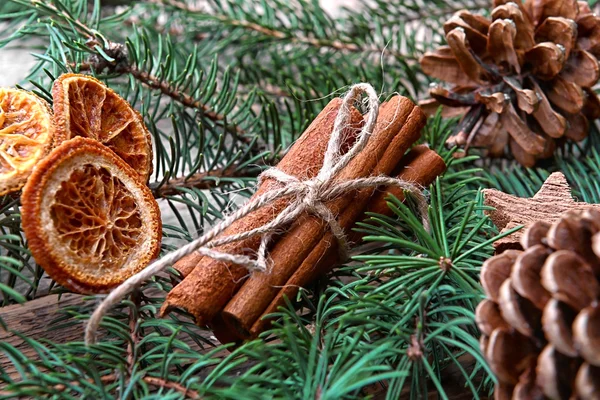 Samenstelling van kaneelstokjes, gedroogde sinaasappelen en vertakking van de beslissingsstructuur van het fir, close-up — Stockfoto