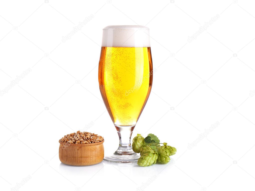 Glass of light beer, barley and hop isolated on white