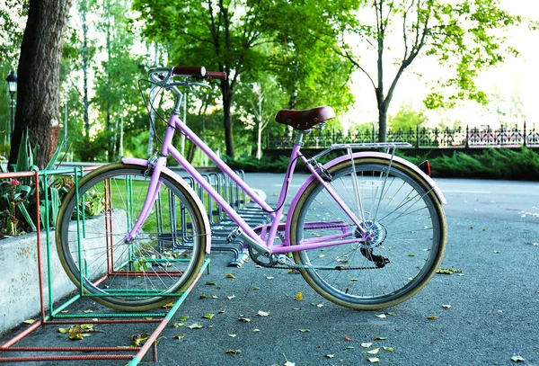 自転車駐車場で — ストック写真