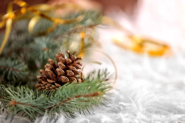 Kerst samenstelling met pijnbomen en kegel, close-up — Stockfoto