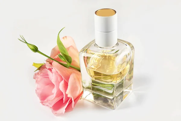 Composition of perfume bottle and flowers on white background — Stock Photo, Image