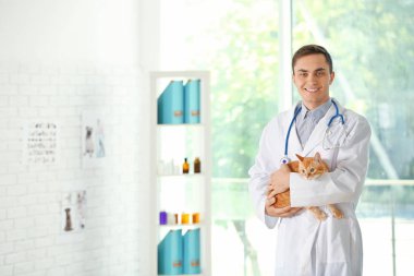 Veteriner Doktor ile kedi bir veteriner Kliniği