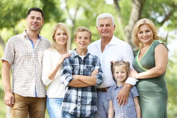 Grande Famiglia Felice Che Riposa Nel Parco Soleggiato — Foto Stock