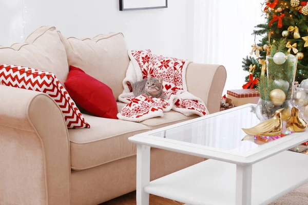 Katze liegt auf Sofa im weihnachtlich dekorierten Wohnzimmer — Stockfoto