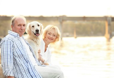 Üst düzey çift ve bund üzerinde büyük köpek