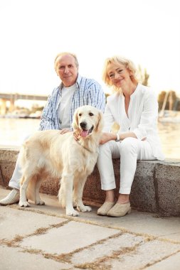 Üst düzey çift ve bund üzerinde büyük köpek