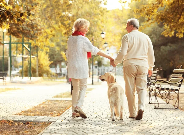 Seniorenpaar und großer Hund spazieren im Park — Stockfoto