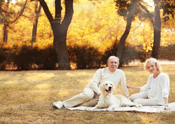 Üst düzey çift ve büyük köpek çim parkta oturan — Stok fotoğraf