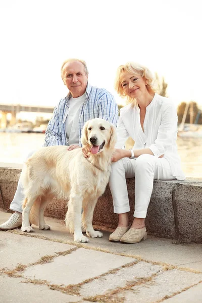 Üst düzey çift ve bund üzerinde büyük köpek — Stok fotoğraf