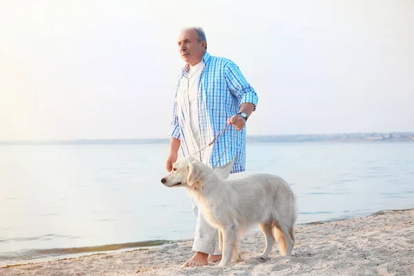年配の男性と川沿いの大きな犬 — ストック写真