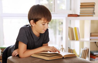 Sevimli öğrenci kabarık odasında ilginç bir kitap okuma