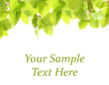 Yeşil yeşillik çerçeve 