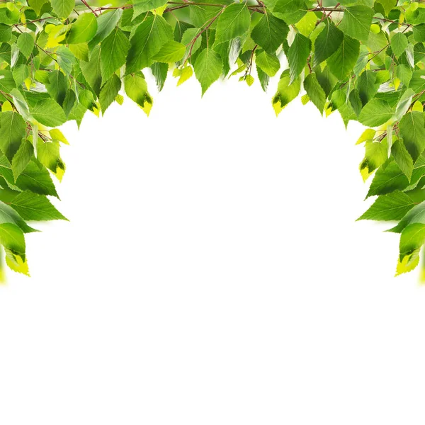 Zielone liście ramki — Zdjęcie stockowe