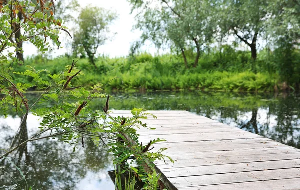 Landschaft mit Holzsteg — Stockfoto