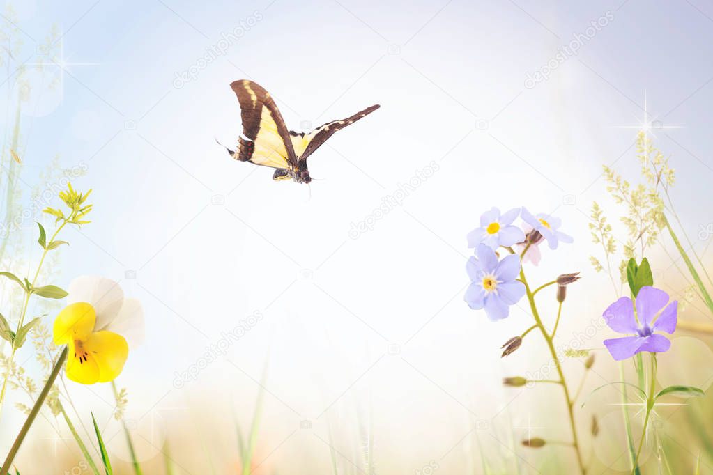 Beautiful butterfly and flowers