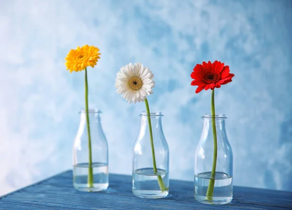 Flowers in vases on color background — Stock Photo, Image