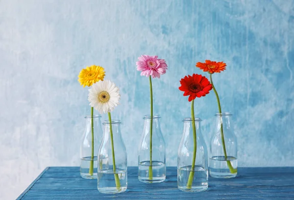 Цветы в вазах на цветном фоне — стоковое фото