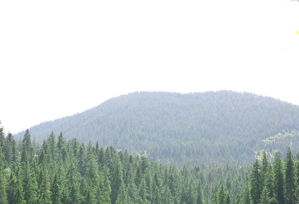 Vakre fjellandskap – stockfoto