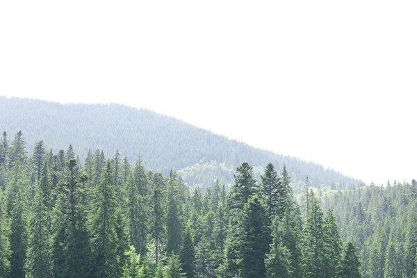 Bellissime montagne Paesaggio — Foto Stock